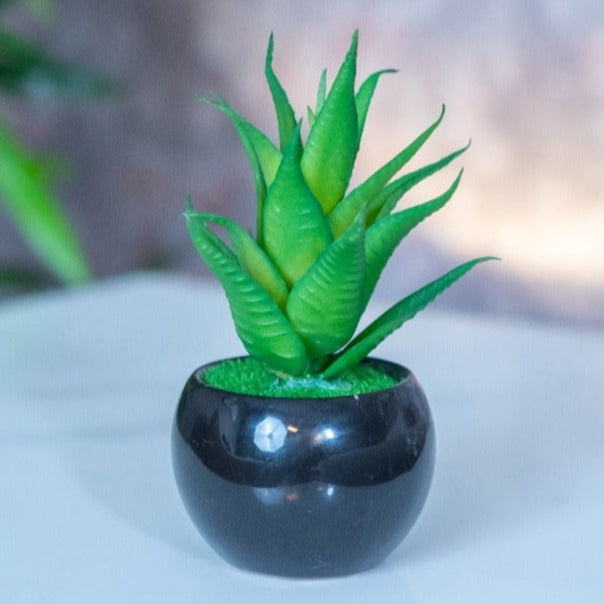 Circular Pot Plant - iSurfaces