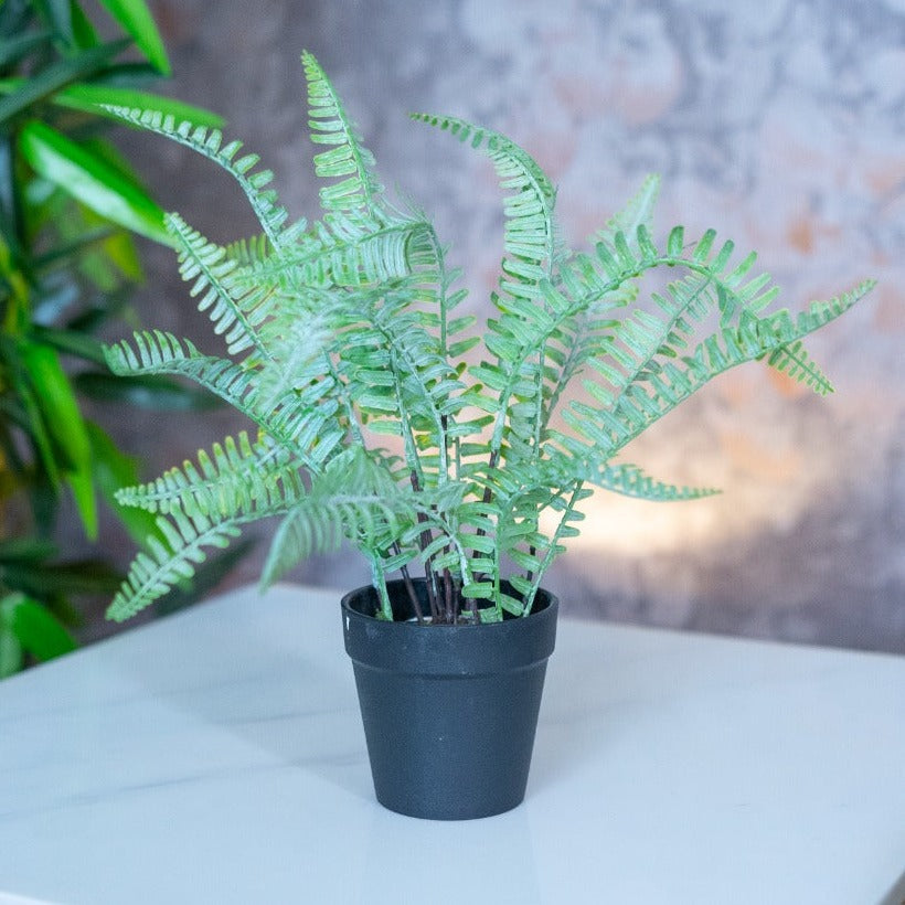 Planter Pot - iSurfaces