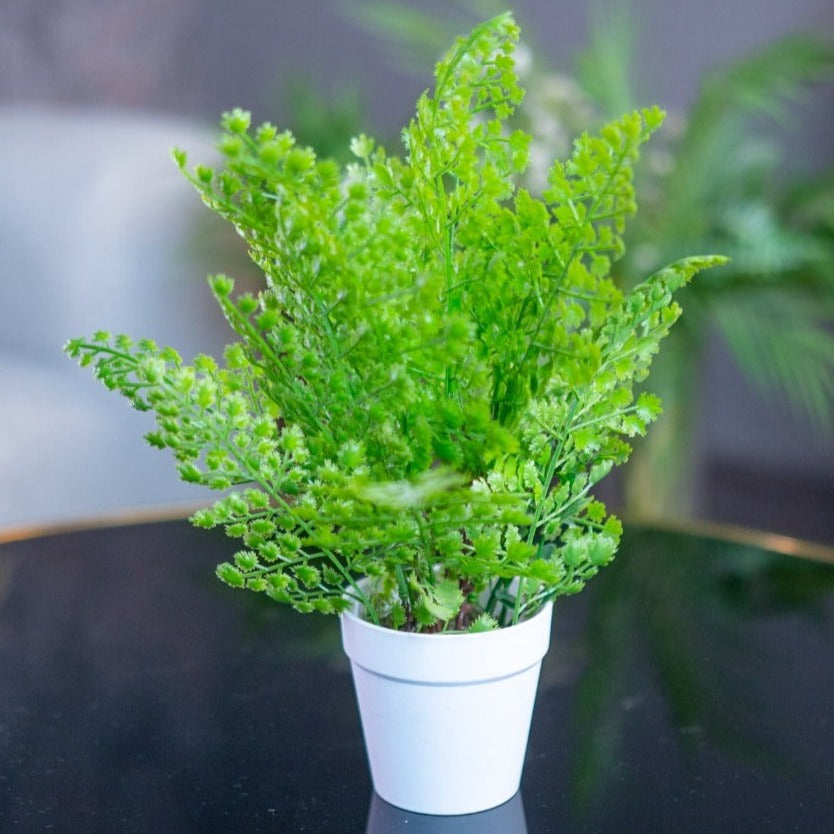 Planter Pot - iSurfaces