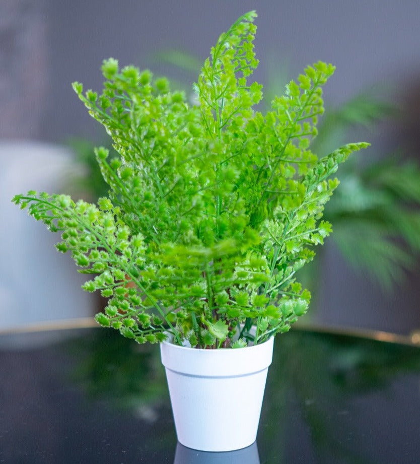 Planter Pot - iSurfaces