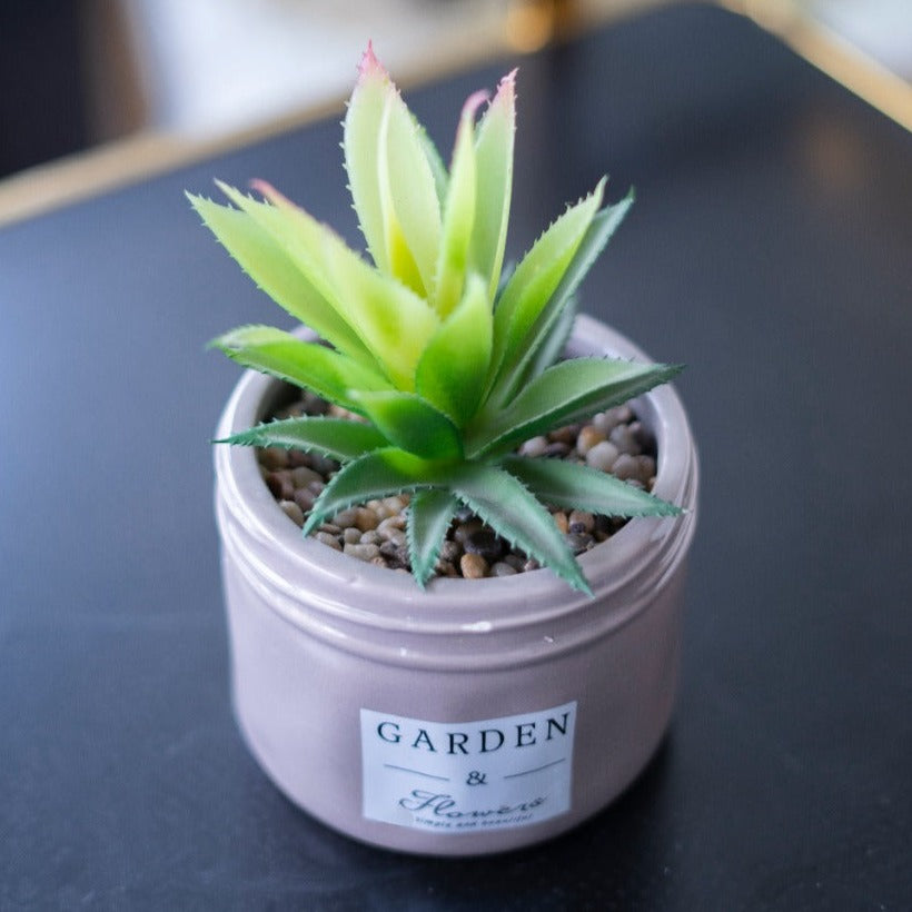 GARDEN & FLOWER Planter Pot - iSurfaces
