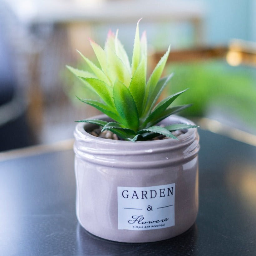 GARDEN & FLOWER Planter Pot - iSurfaces