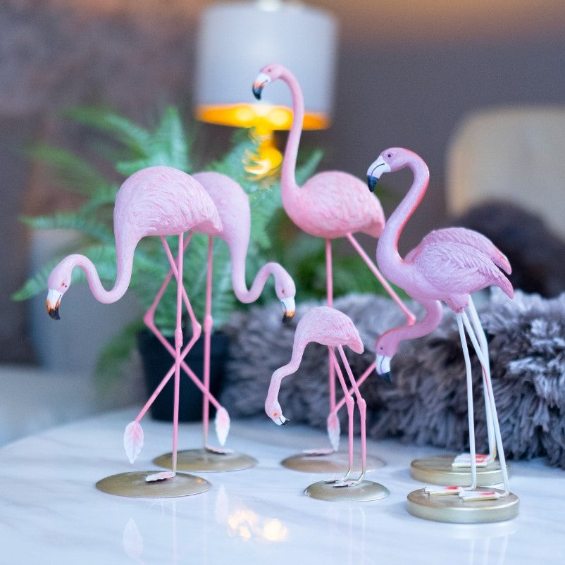 Set of Flamingos - iSurfaces